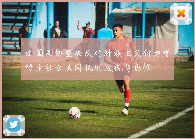 法国足协坚决反对种族主义行为呼吁全社会共同抵制歧视与仇恨