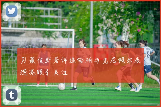 月最佳新秀评选哈珀与克尼佩尔表现亮眼引关注